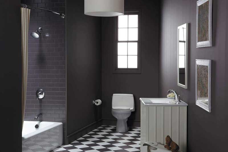 Kohler Santa Rosa for Modern Bathroom