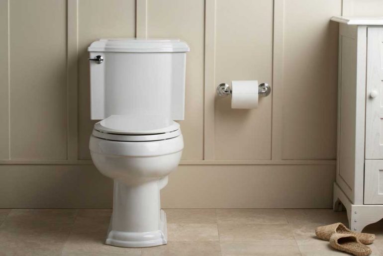 kohler devonshire toilet review