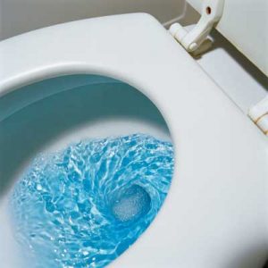 Toilet Flushing System