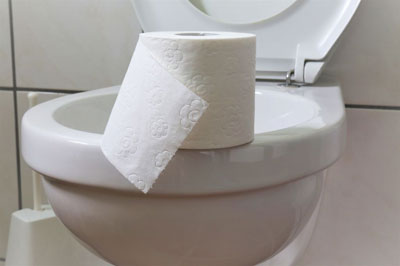 Toilet Paper On Toilet Bowl
