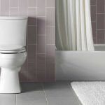 kohler kelston toilet review