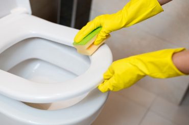 how to clean a toilet seat