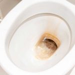remove-brown-stains-from-toilet