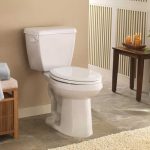 what is the tallest toilet you can buy