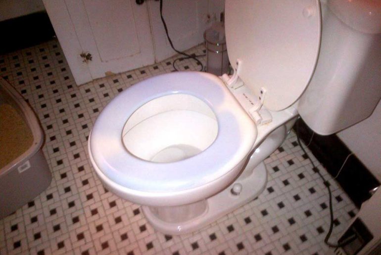 why-is-my-toilet-seat-turning-blue
